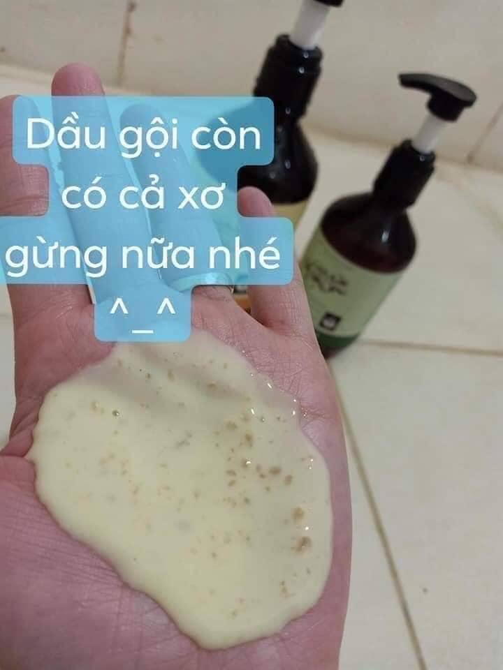 Combo Dầu gội,xả gừng - COCAYHOALA