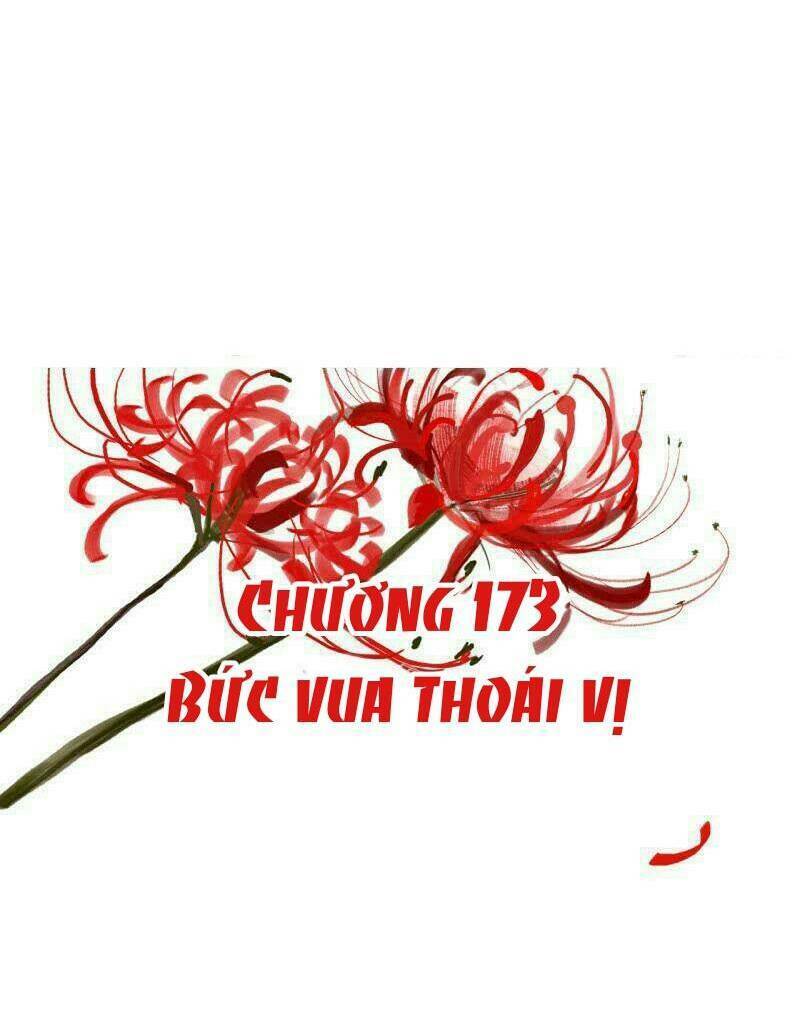 sủng phi của vương chapter 173 2