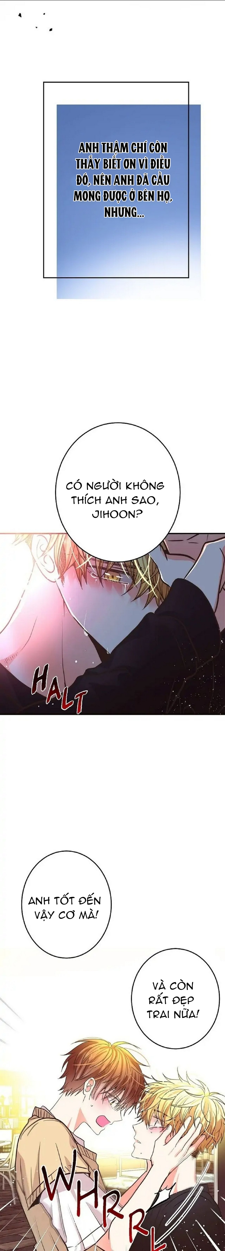 mối quan hệ phù hợp chapter 19 15