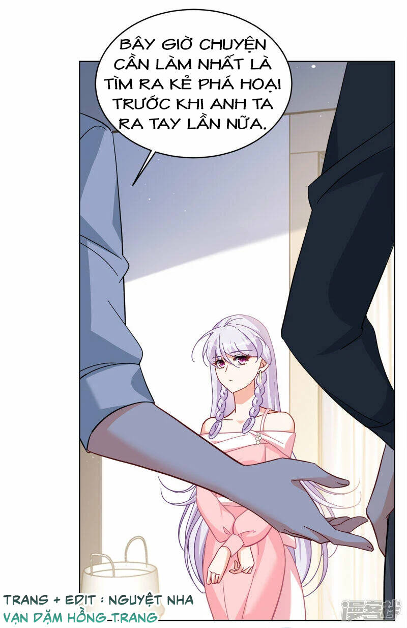 cô ấy đến rồi, xin nằm xuống! chapter 226 4