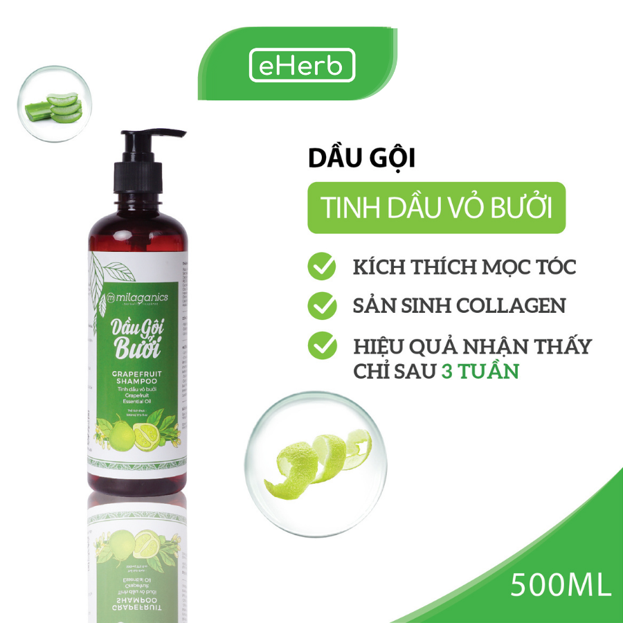 Combo Dầu Gội &amp; Dầu Xả Bưởi Ngừa Rụng &amp; Kích Thích Mọc Tóc Từ Tinh Dầu Bưởi Nguyên Chất MILAGANICS (500ml/ Chai)