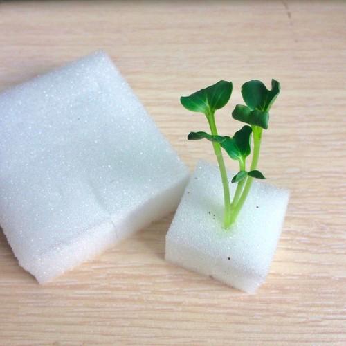 Bộ 10 tấm mút xốp ươm hạt trồng thủy canh, mỗi tấm 96 viên có lỗ gieo hạt