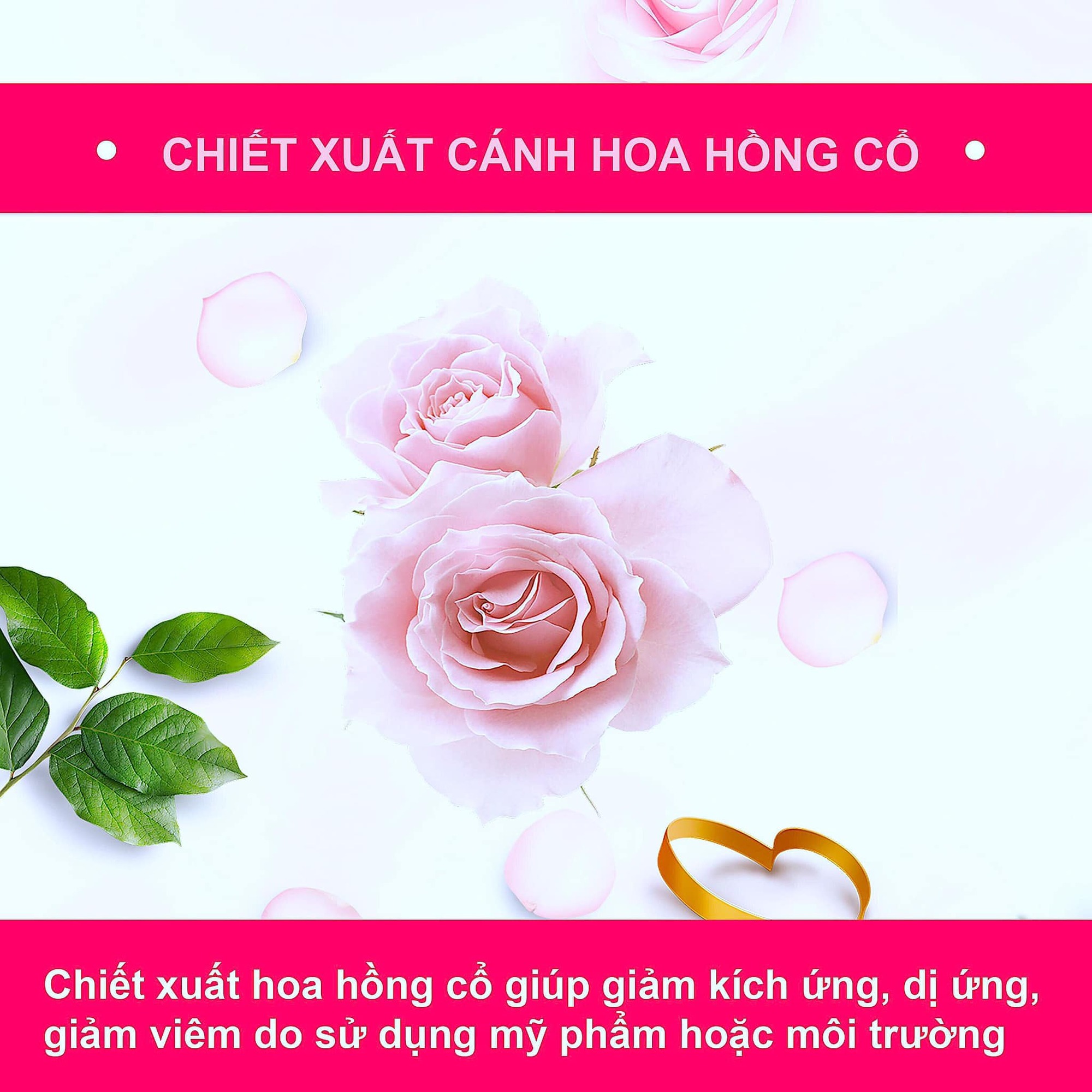 Chai Tinh Chất Essence Cốt Hoa Mộc Tuyết 100ml, Không Phải Là Toner ĐơnThuần Mà Nền Cô Đặc Hơn, Tinh Tế Hơn, Vừa Làm Sạch Cho Da Vừa Trung Hòa Lượng Kiềm Thừa Vừa Dưỡng Ẩm Giúp Da Luôn Mềm Mịn.