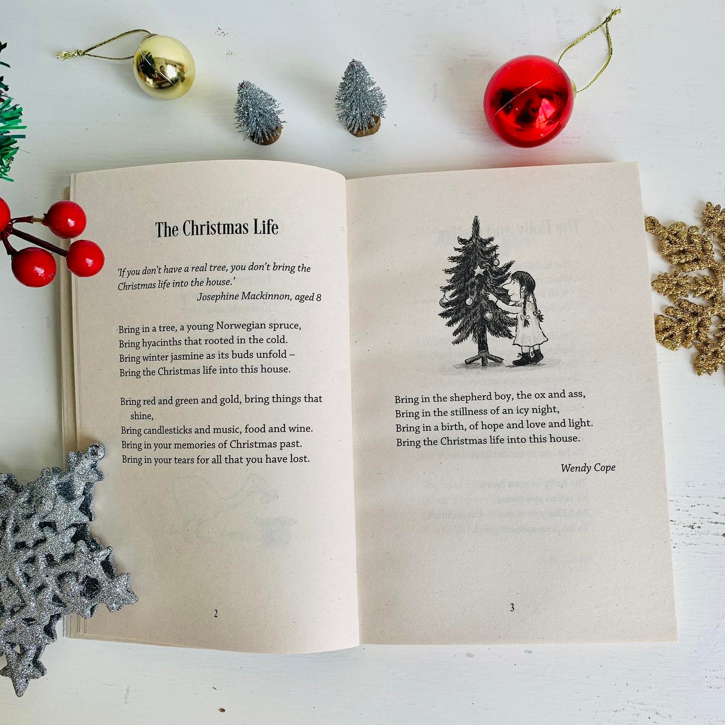 Christmas Poems