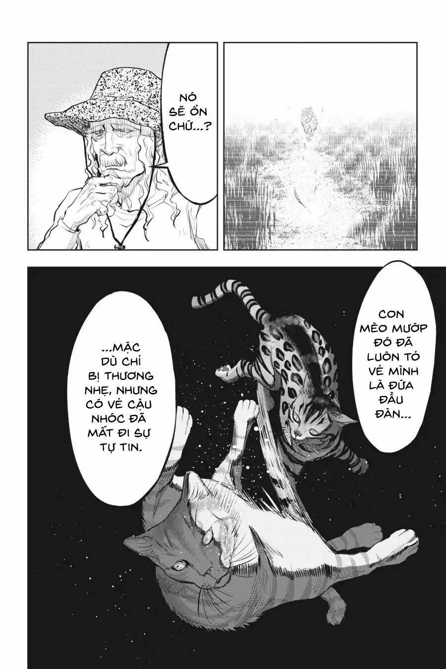 nyankees chapter 14 7