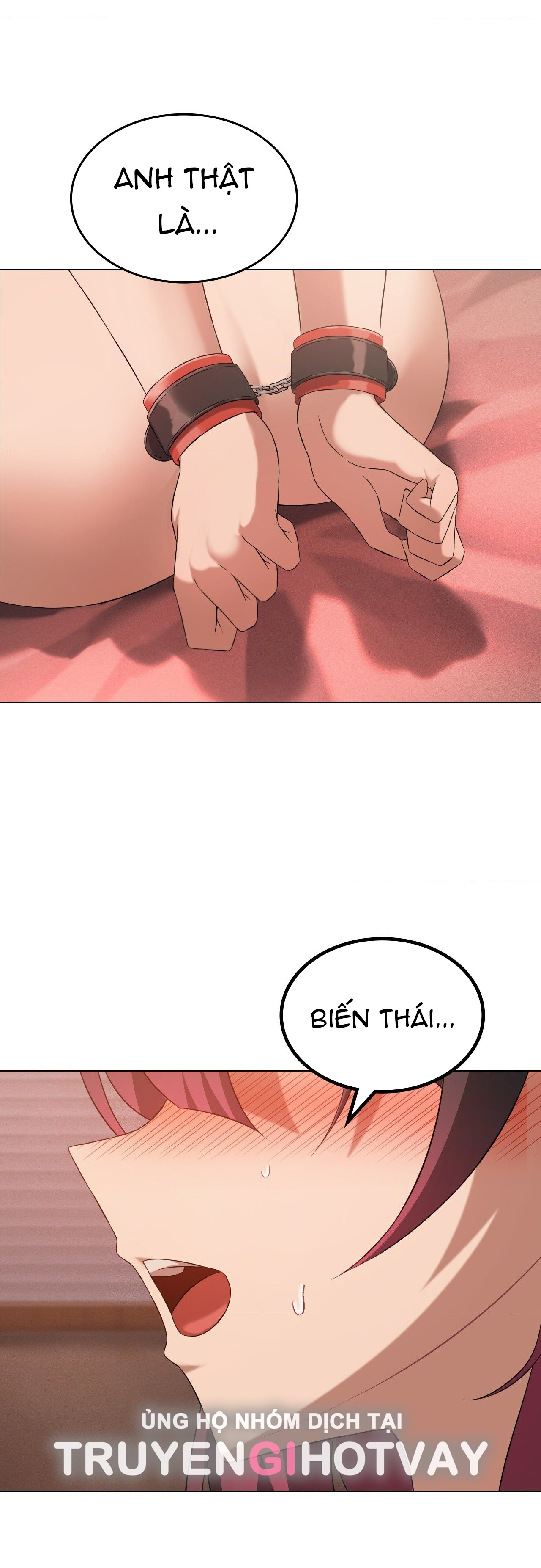 [18+] thăng cấp đến khi hài lòng chapter 41.2 27