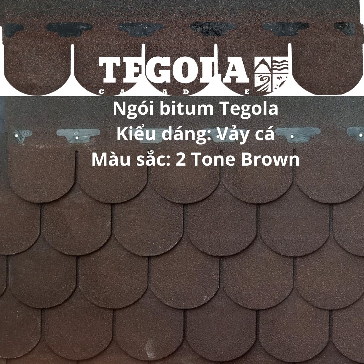 Ngói bitum Tegola - vảy cá - 2 tone brown - ngói lợp vảy cá Italia màu nâu cho biệt thự, nhà gỗ, mái thái, mái nhật, nhà tiền chế... đóng gói 3.05m2/gói