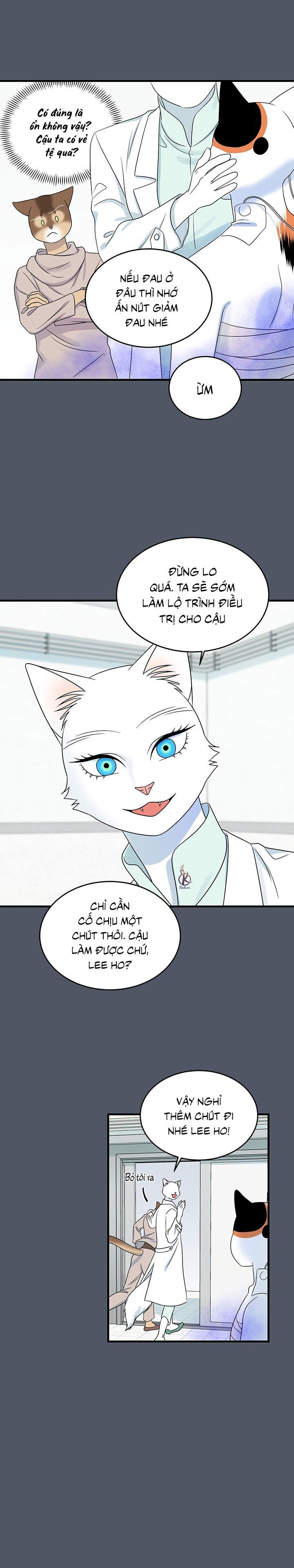 dự án xanh chapter 45 15