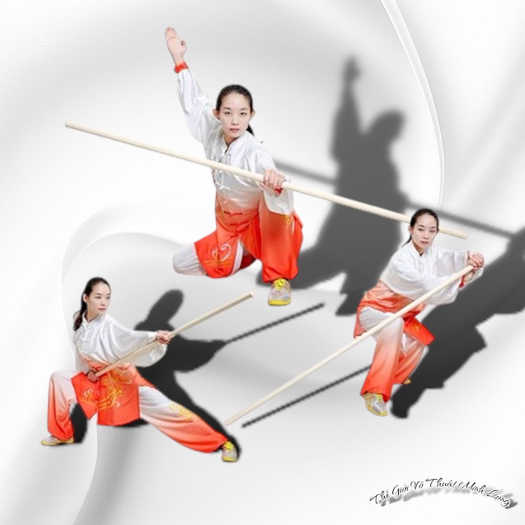 Gậy Thể Dục - Gậy Dưỡng Sinh - Tập Aerobic