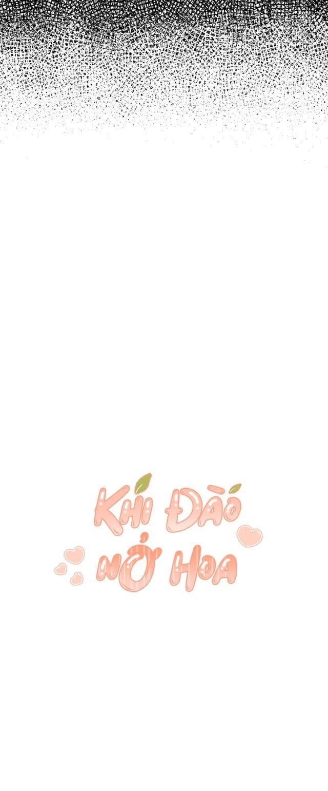 khi đào nở hoa chapter 10 10