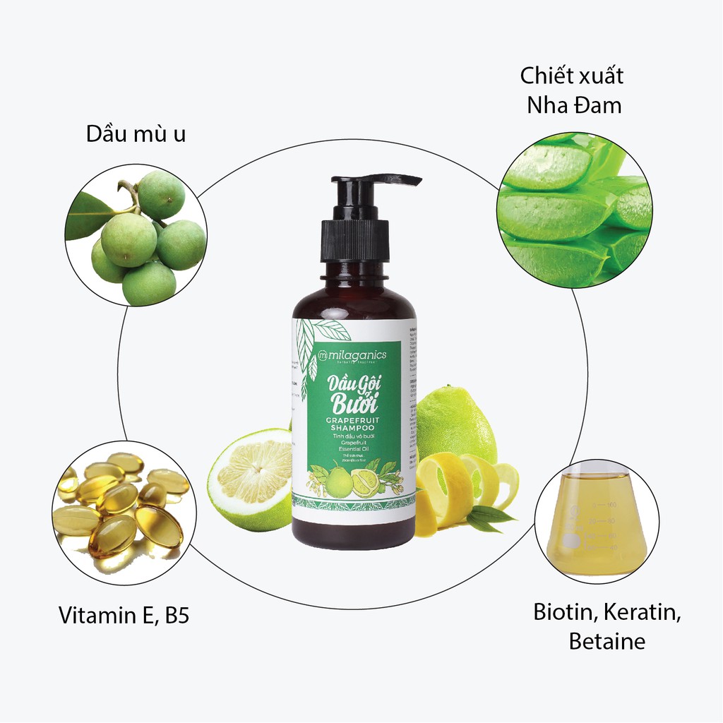 Combo 2 Dầu Gội Tinh Dầu Bưởi Kích Thích Mọc Tóc, Ngăn Ngừa Rụng Tóc MILAGANICS 250ml