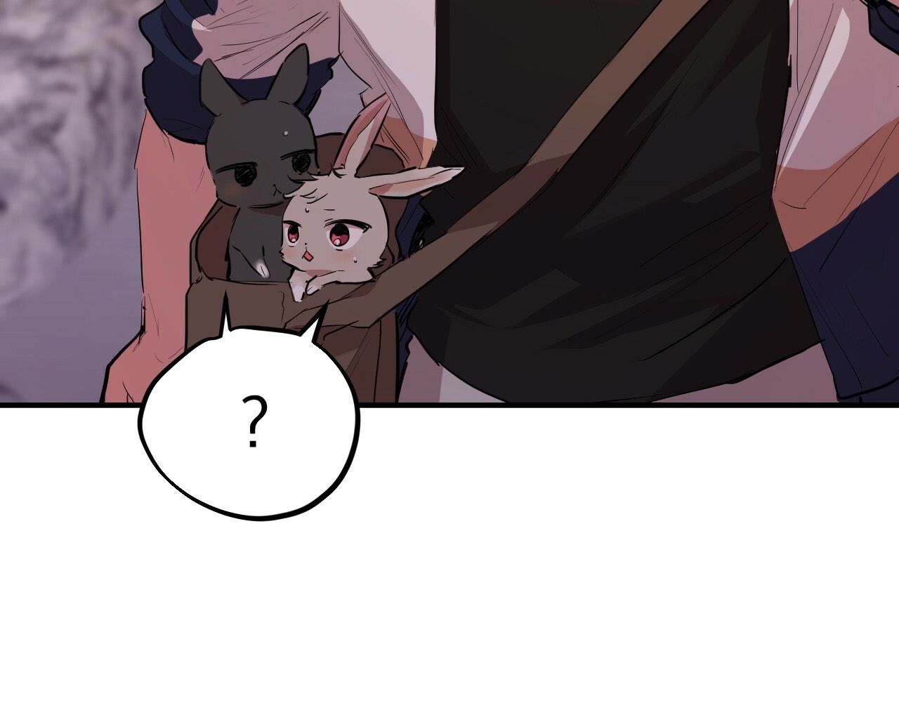 đàn thỏ của habibi chapter 19 84