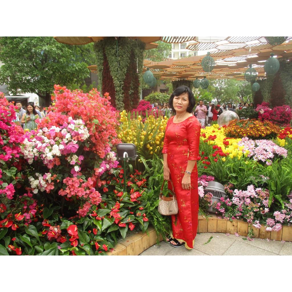 Áo Dài Gấm Nữ Hoạ Tiết Hoa Mai Cao Cấp