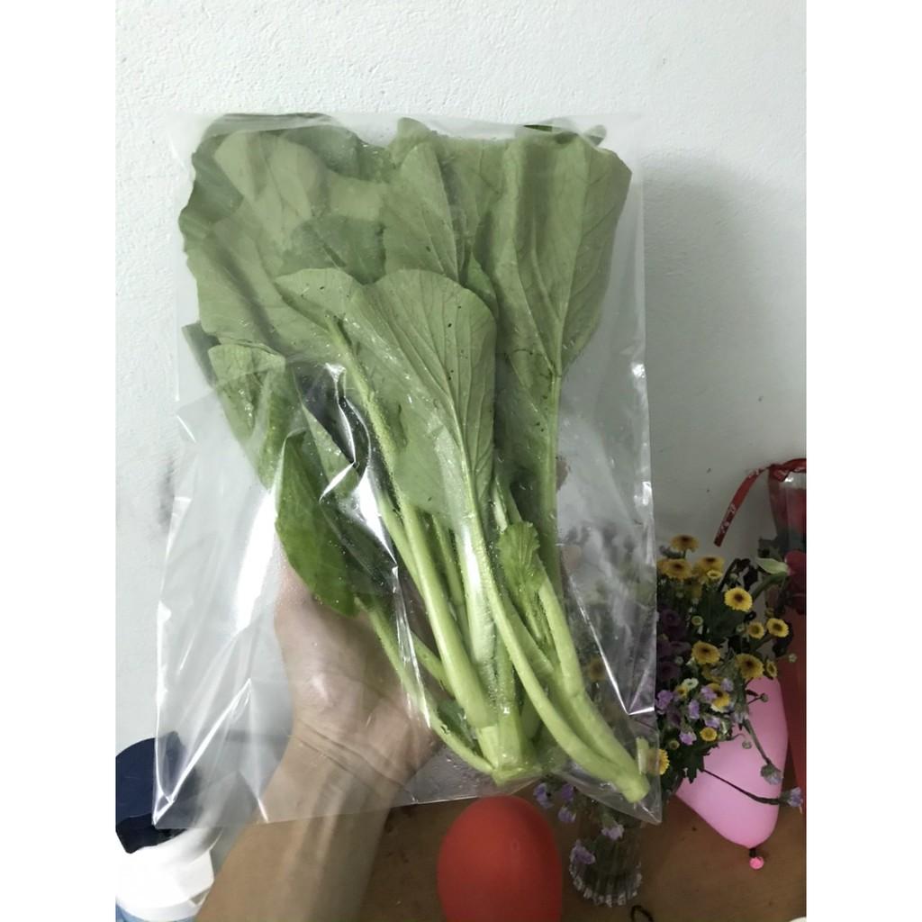 1kg Túi bảo quản rau củ quả chống mờ hơi nước nhập khẩu Ấn Độ