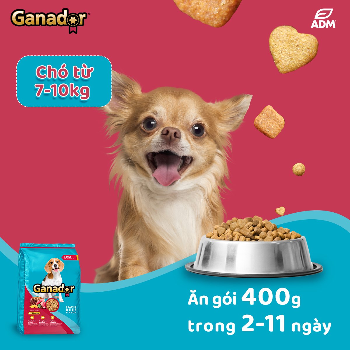20KG Thức Ăn Hạt Chó Lớn Ganador Roasted Beef Flavor - Vị Bò Nướng - Thức ăn hạt cho Chó