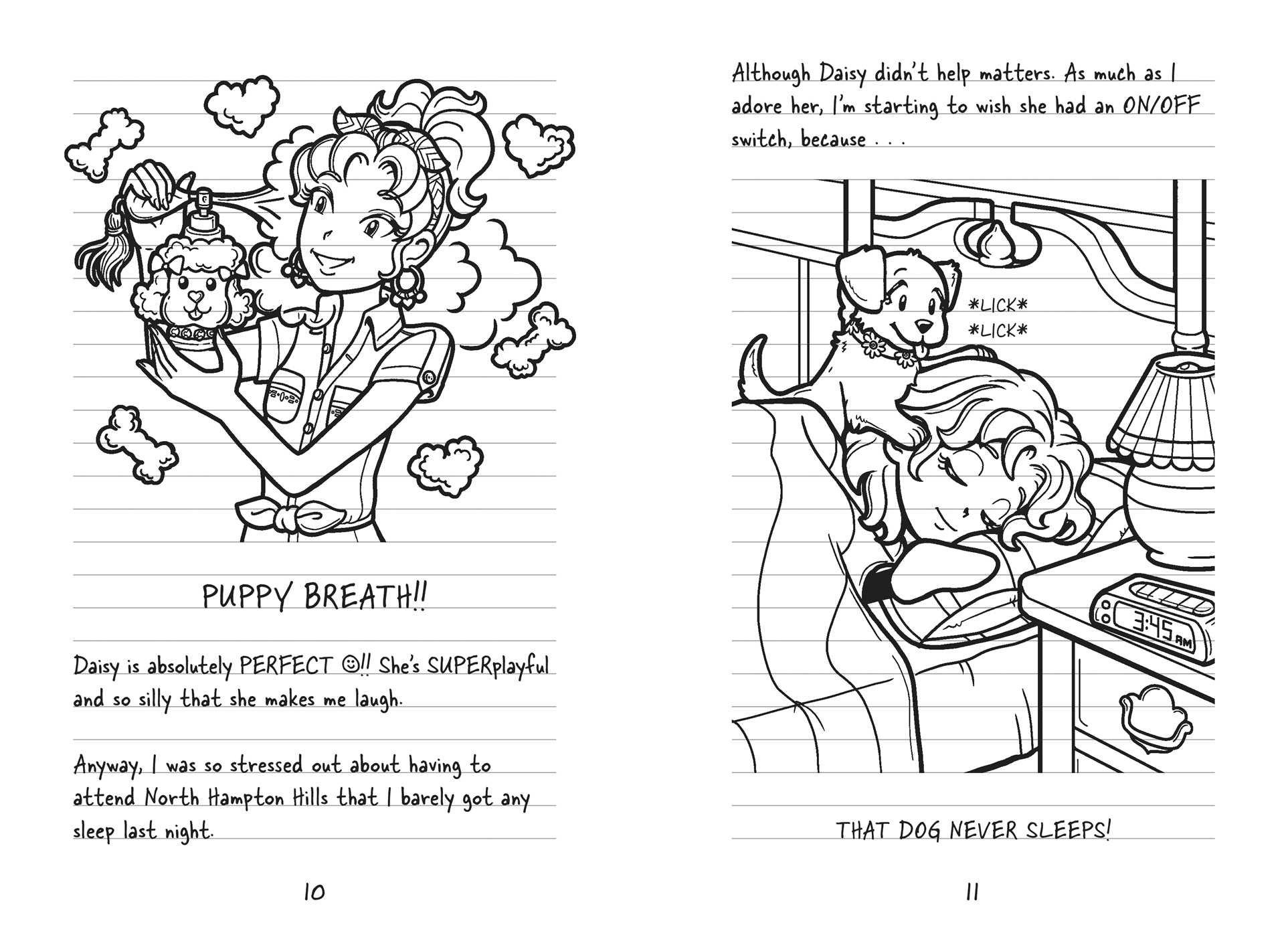 Sách Tales from a Not-So-Friendly Frenemy (Dork Diaries) Hardcover