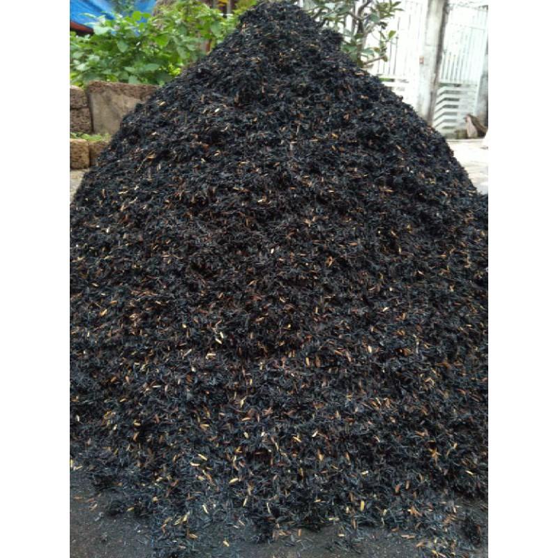 1kg trấu hun hạt to trộn đất trồng cây