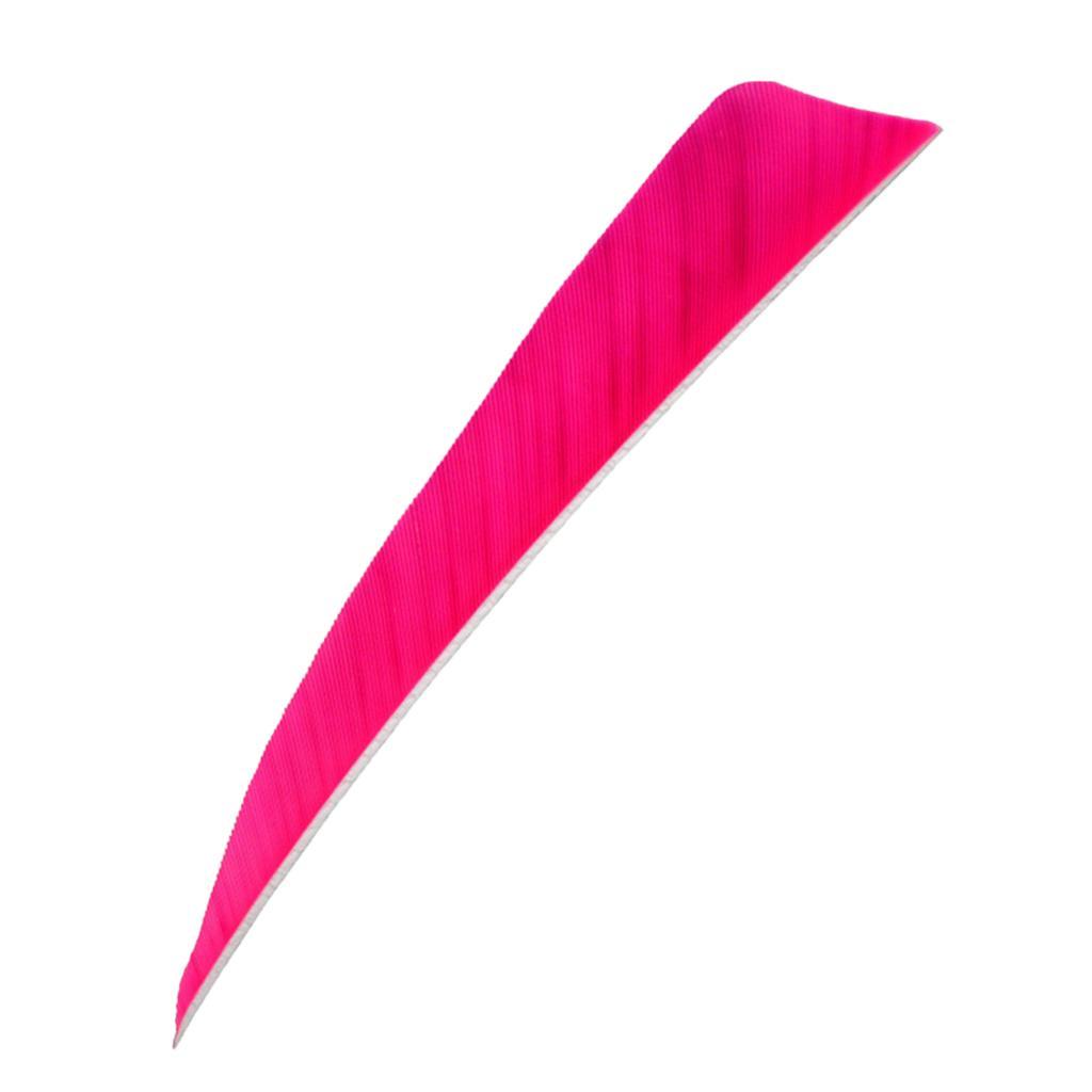 2-6pack 12 Pieces 4 Inch Archery Arrow Feathers Fletchings Vanes Rose Red