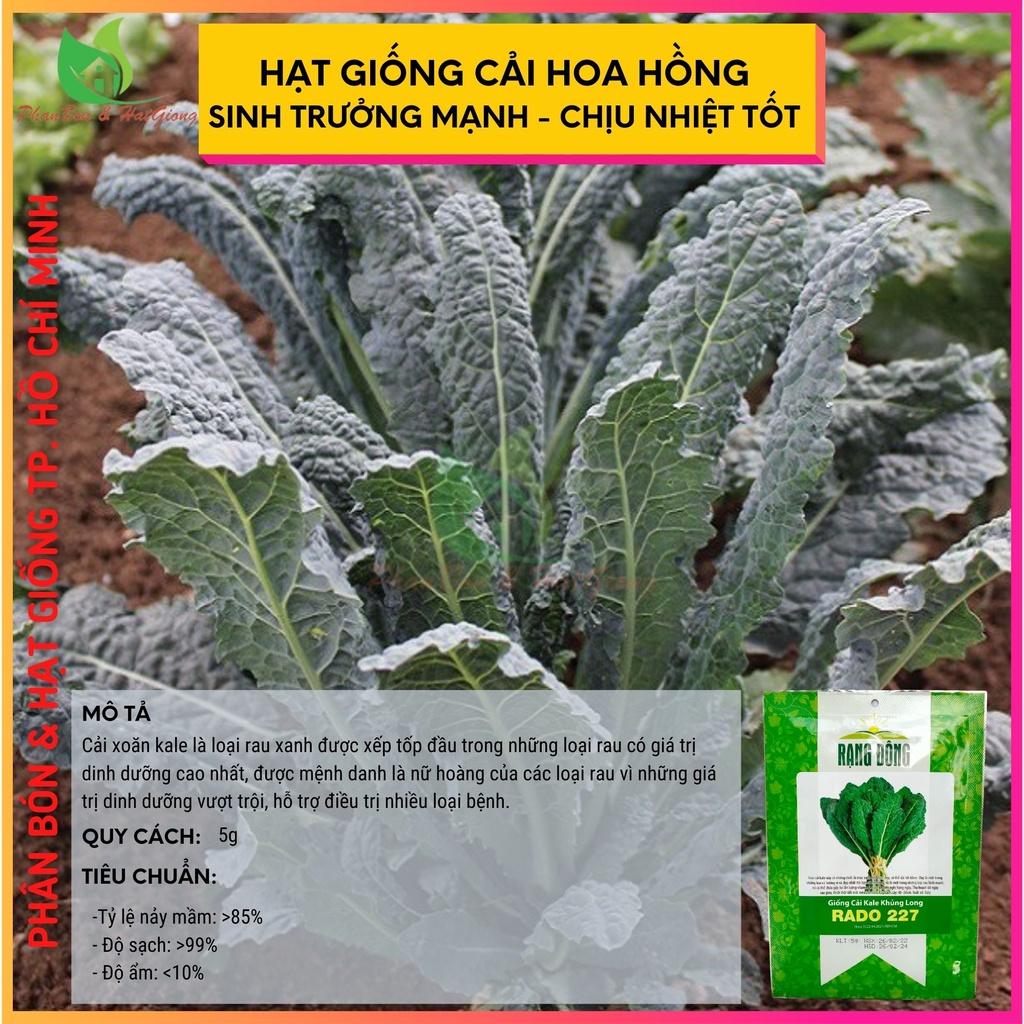 Hạt Giống Rau Cải Kale KHỦNG LONG Cải Xoăn 5gr - Rạng Đông - Shop Phân Bón và Hạt Giống