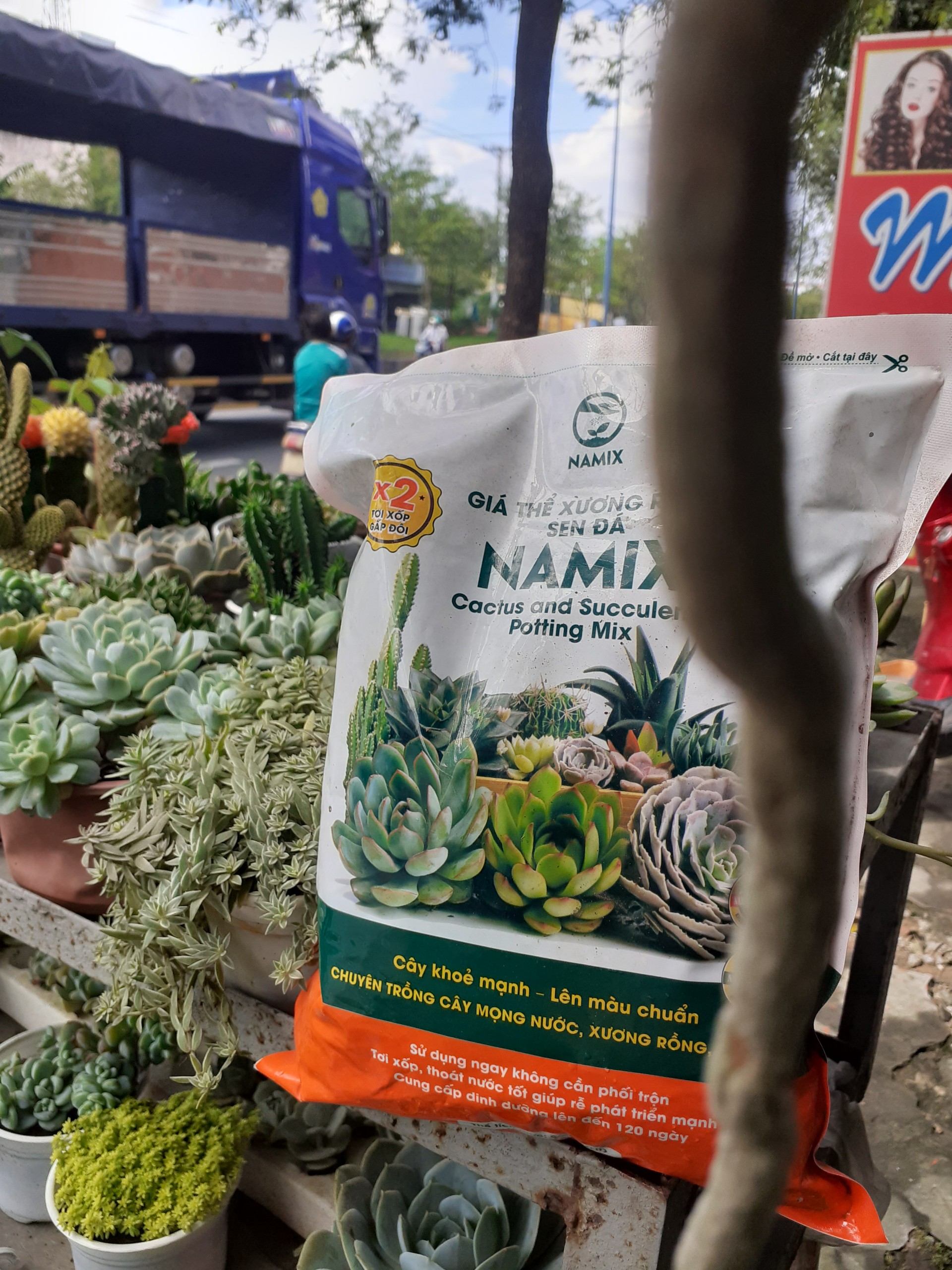 Giá thể xương rồng và sen đá NAMIX túi 2dm3 .