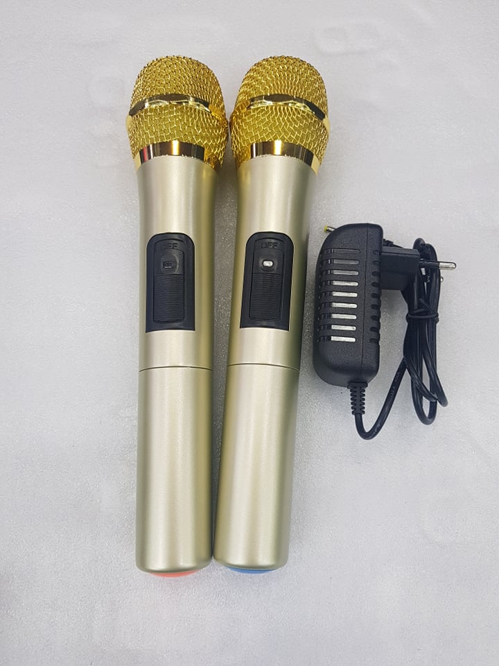 Loa kéo Karaoke Bluetooth BNIB M10: Bass 25, Có 2 Micro không dây đi kèm