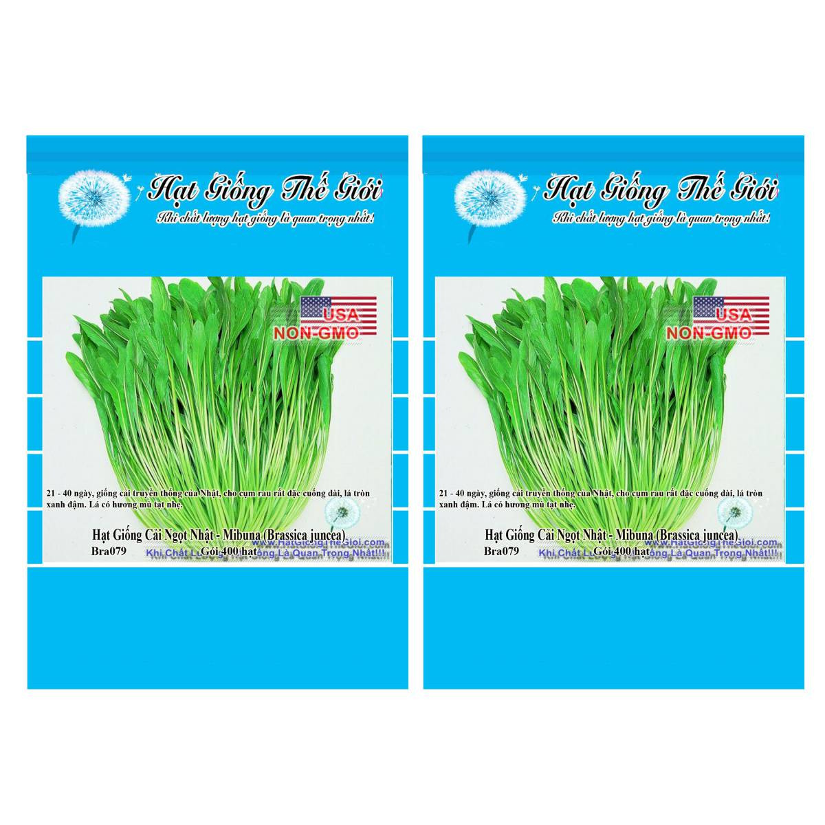 Bộ 2 Gói Hạt Giống Cải Ngọt Nhật - Mibuna  400h