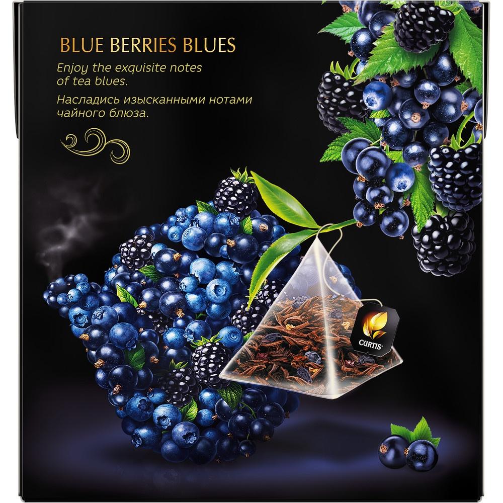 Trà Đen Túi Lọc Hiệu Curtis Hương Việt Quất, Lý Chua Đen – Tea Curtis Blue Berries Blues