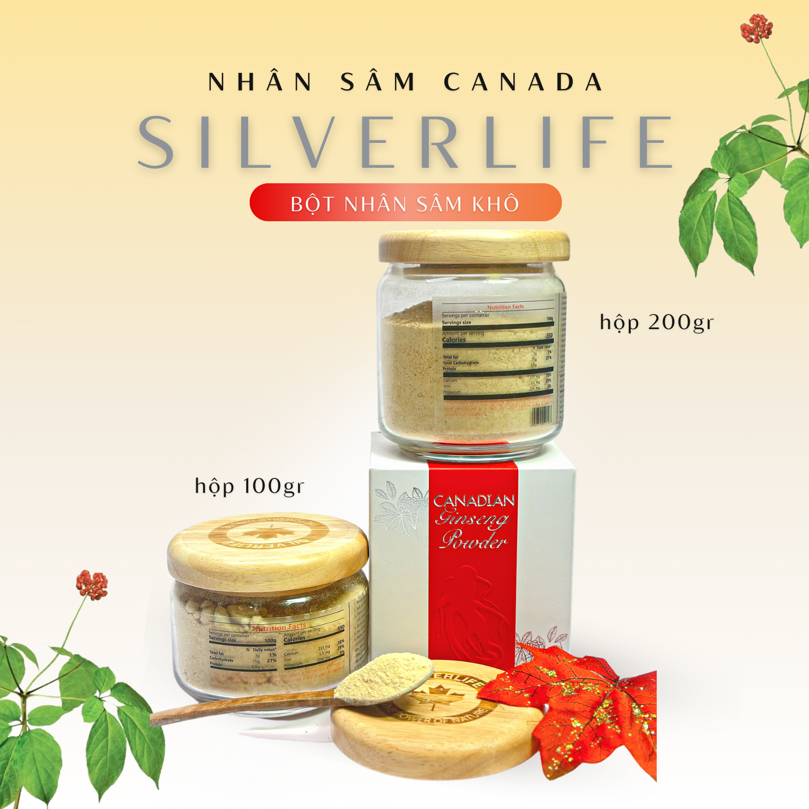 Nhân sâm Canada SilverLife Powder | Bột nhân sâm khô Canada nguyên chất 5 năm tuổi