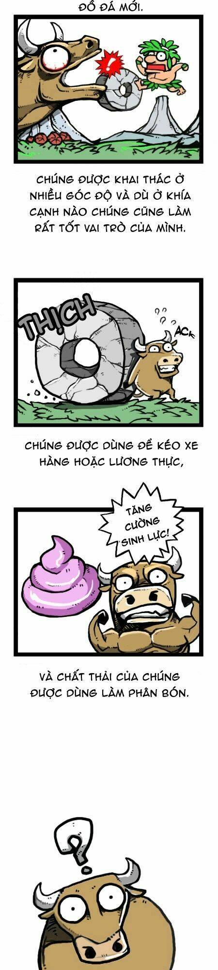 earth, human, and animal chapter 24 11