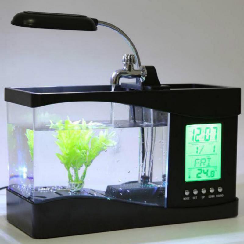 Bể cá cảnh mini để bàn, kiêm đồng hồ báo thức, đèn led tiện dụng
