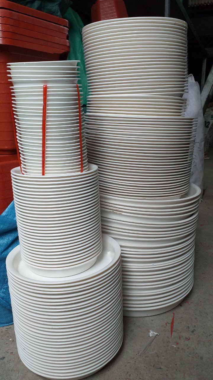 Đĩa Nhựa Lót Chậu Cây - Khay Lót Chậu Cây Cảnh Đẹp - Full Size Kích Thước