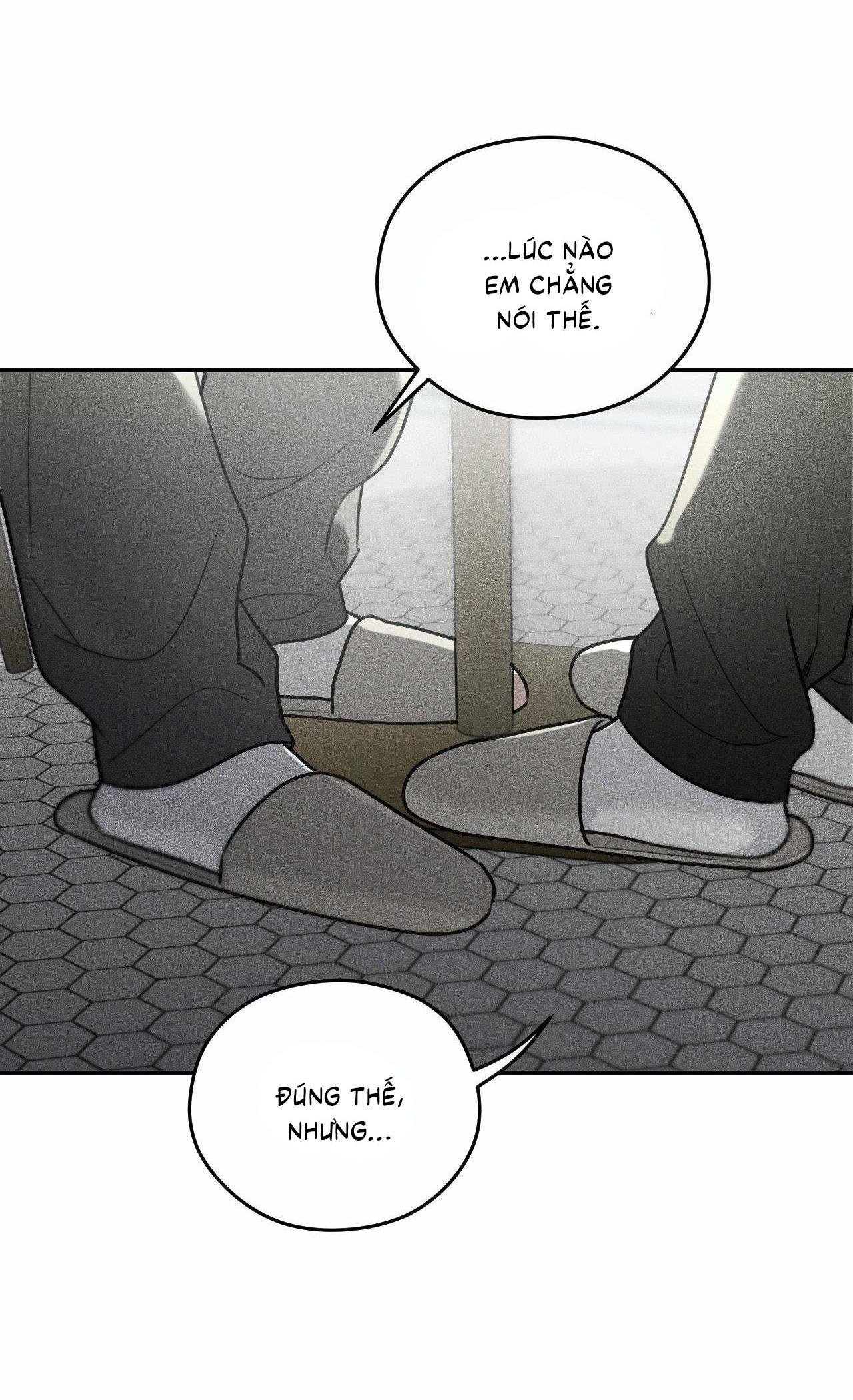 gấu teddy thân yêu chapter 35 15