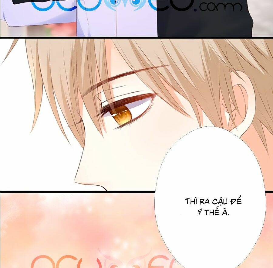 đóa hoa chớm nở chapter 62 24