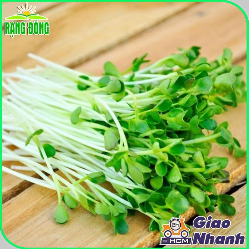 Hạt giống Rau Mầm Củ Cải Trắng Dễ Trồng, Nhanh Thu Hoạch - Hạt Giống Rạng Đông