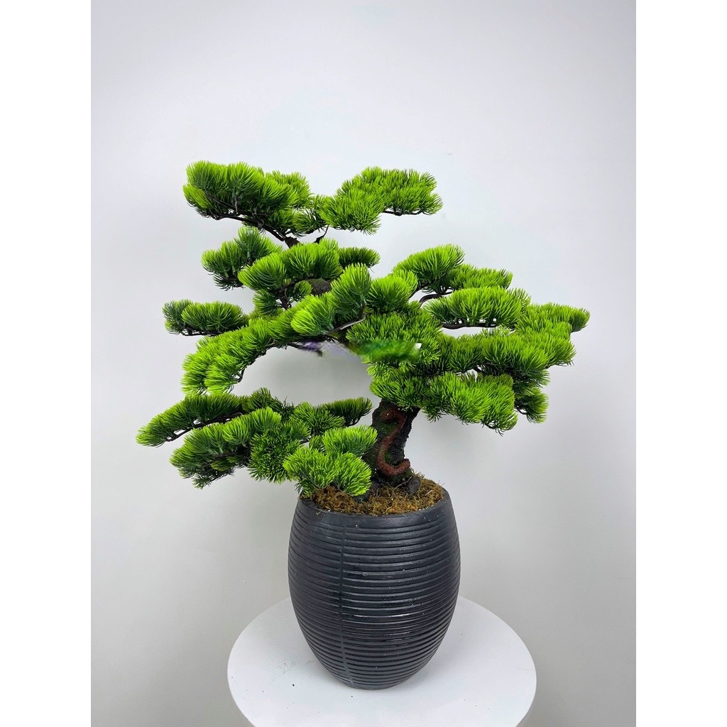 Cây tùng giả - Cây bonsai giả - Cây giả, hoa lụa Decor trang trí nhà cửa