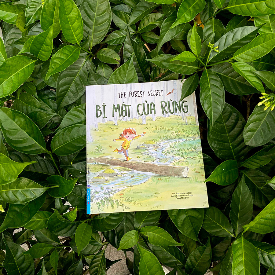 Bí Mật Của Rừng