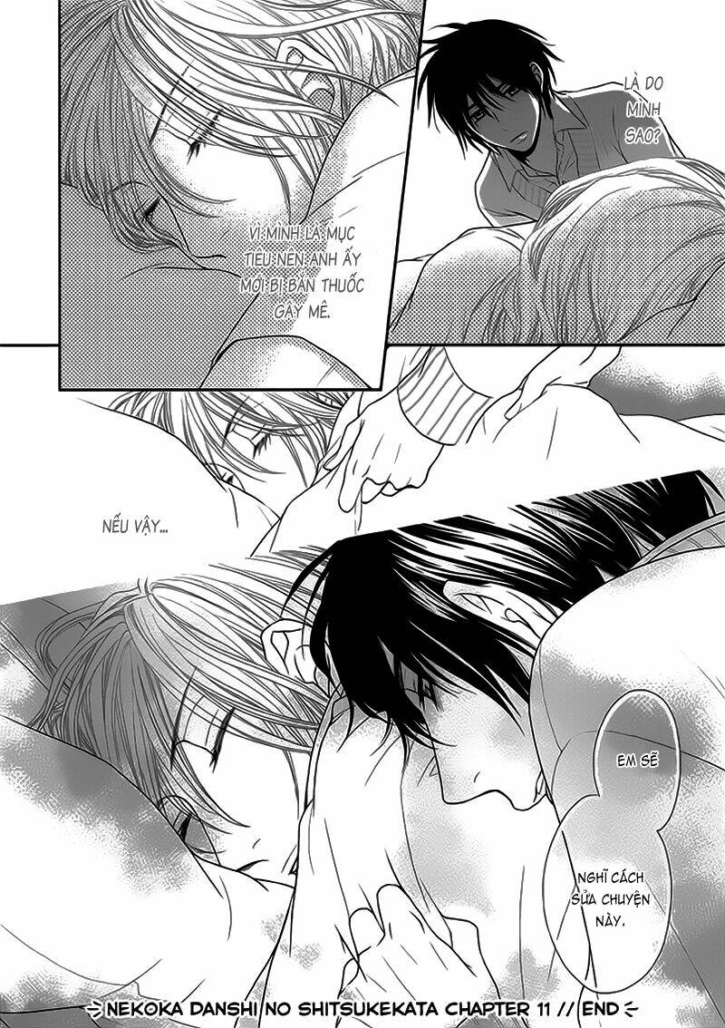 nekoka danshi no shitsukekata chapter 11 34