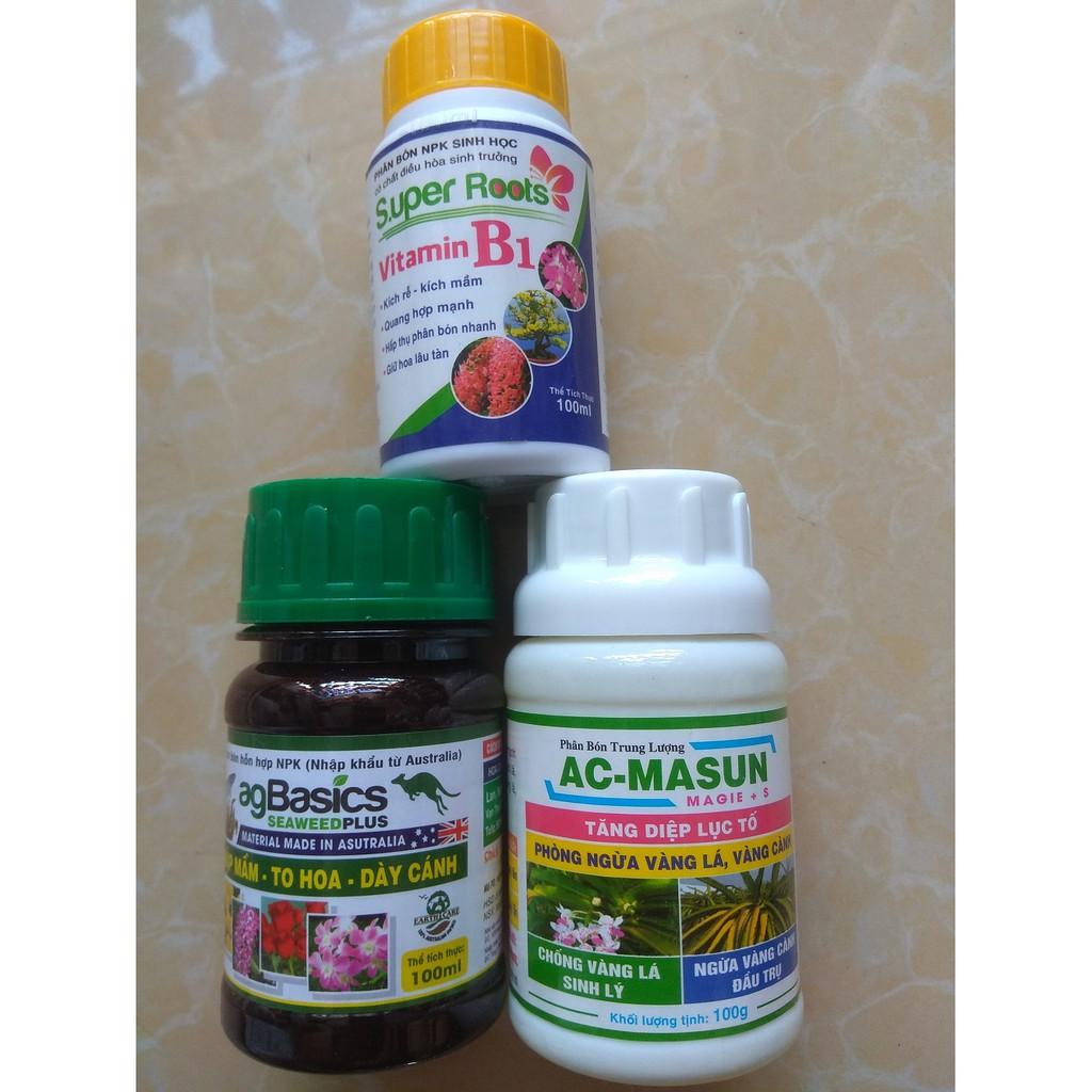 Bộ sản phẩm chăm sóc cây sứ thái mập thân to lá - 100ml/chai