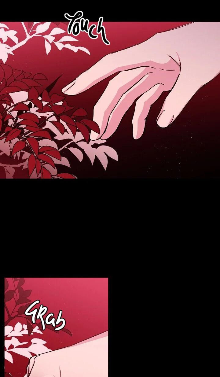 CHITRA chapter 131.2 17