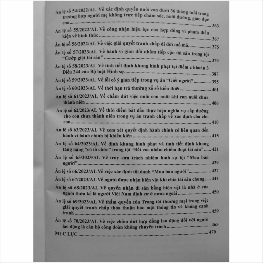 Sách Hệ Thống Án Lệ của Hội Đồng Thẩm Phán Tòa Án Nhân Dân Tối Cao - V2291T