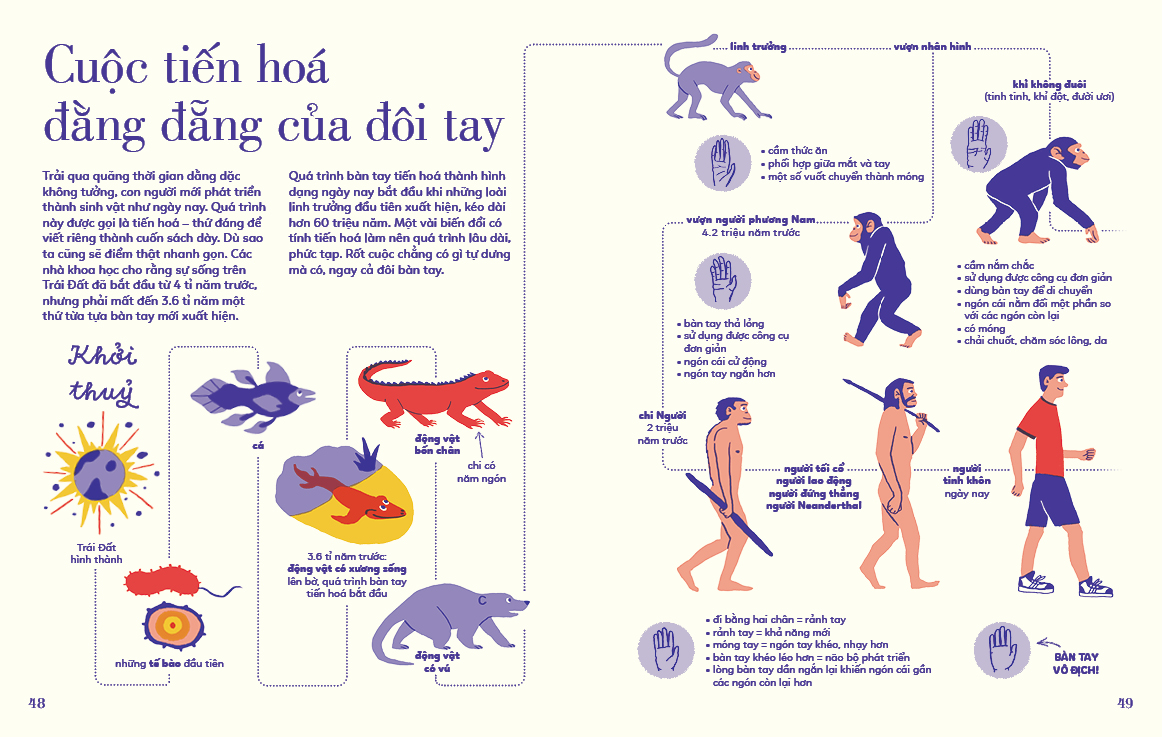 Sách Tỏ Tường Tay Ta - Bách Khoa Toàn Thư Về Đôi Tay | Sách Bách Khoa Tri Thức Cho Trẻ Em | San Hô Books