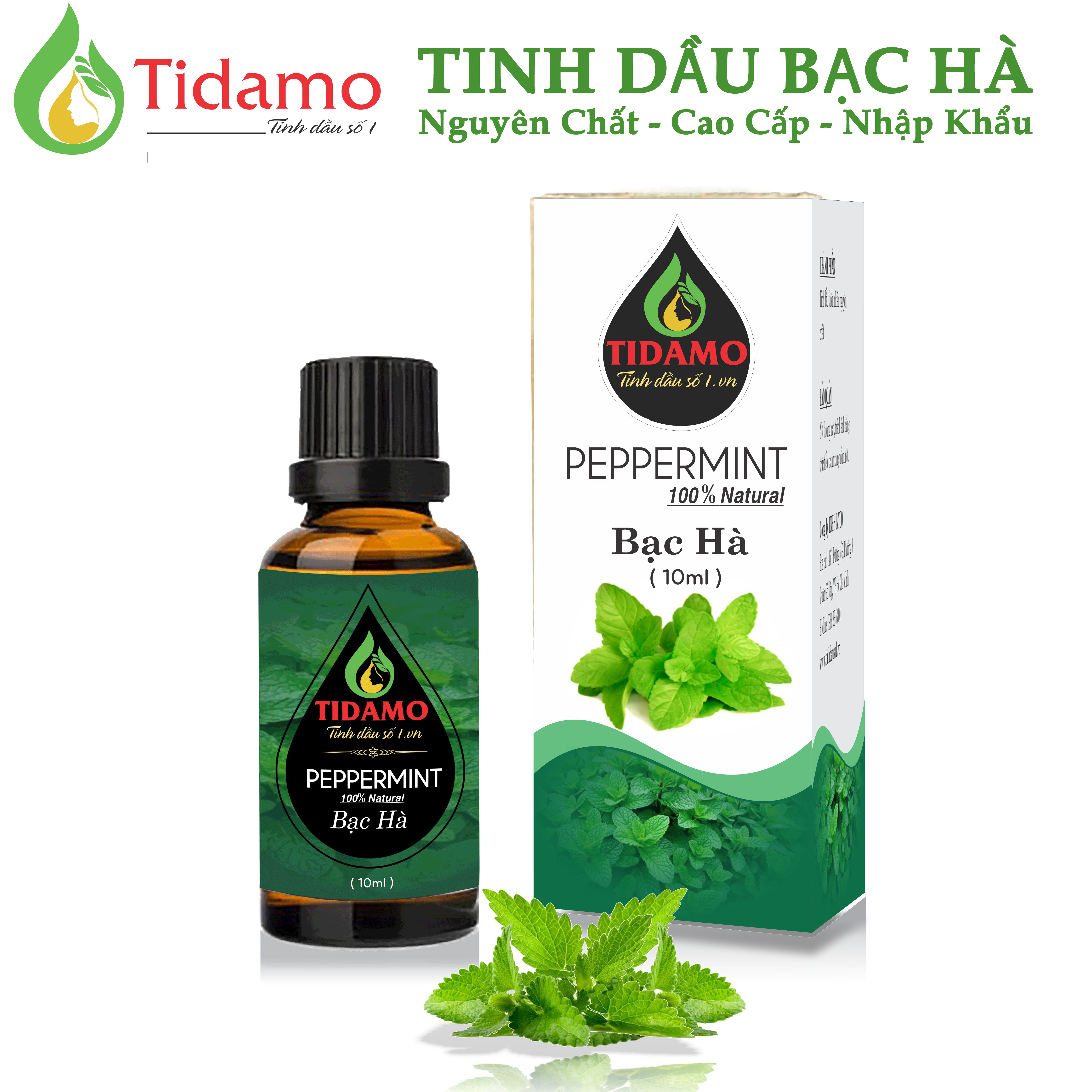 Combo 3 Tinh Dầu Sả Chanh + Tinh Dầu Bạc Hà + Tinh Dầu Oải Hương (Lavender) - Tinh Dầu Xông Phòng Nguyên Chất Giúp Thư Giãn, Đuổi Muỗi Và Thơm Phòng (3 chai 10ML)