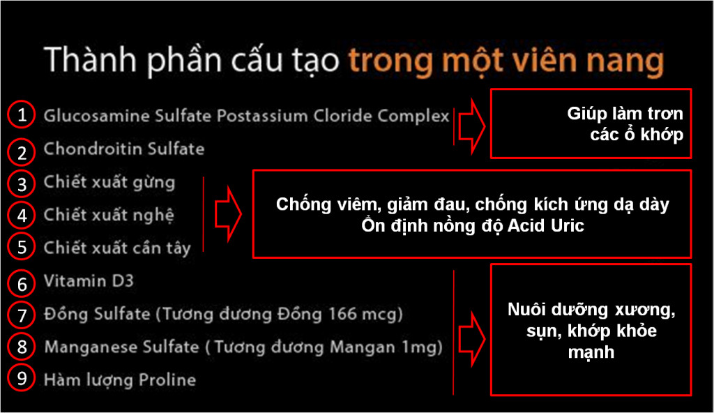 Bộ sản phẩm 3 hộp viên uống bổ xương khớp glucosamine nhập khẩu chính hãng New Zealand GO GLUCOSAMINE 1-A-DAY 1500mg (30 viên) giúp tăng dịch khớp, giảm thoái hóa khớp, khô khớp, cứng khớp; giúp xương sụn khớp khỏe mạnh