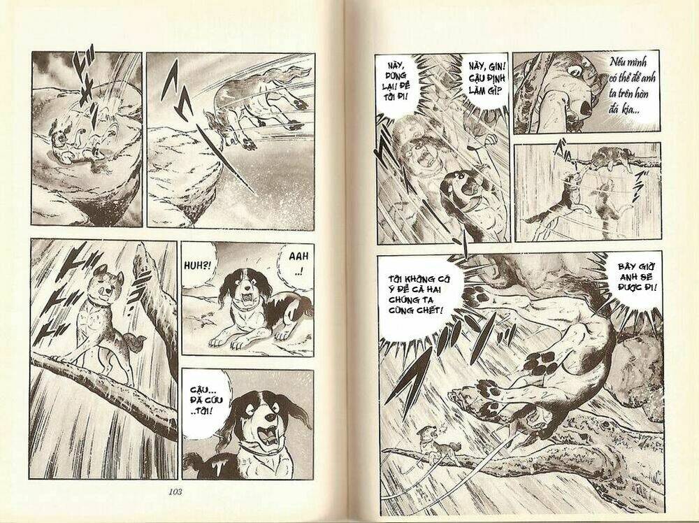 chú chó có nghĩa - ginga nagareboshi gin chapter 15 9