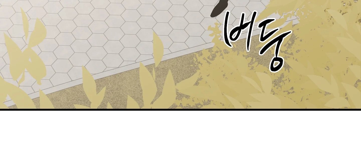 đêm bên bờ biển chapter 87.2 63