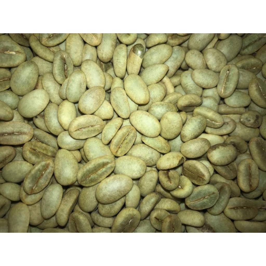 1 KG Hạt giống Cà Phê Vối cao sản TR4