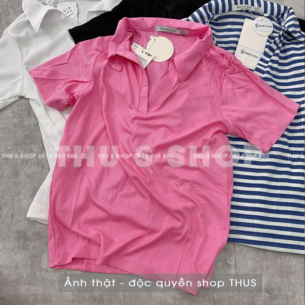 Áo thun Polo nữ có cổ chất len tăm co dãn bassic cực đẹp