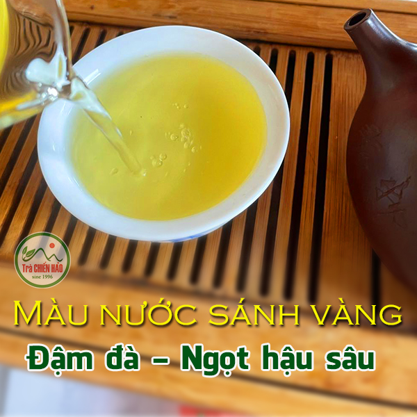 500g Trà shan tuyết đặc sản Hà Giang. Oganic. Đậm đà, ngọt hậu