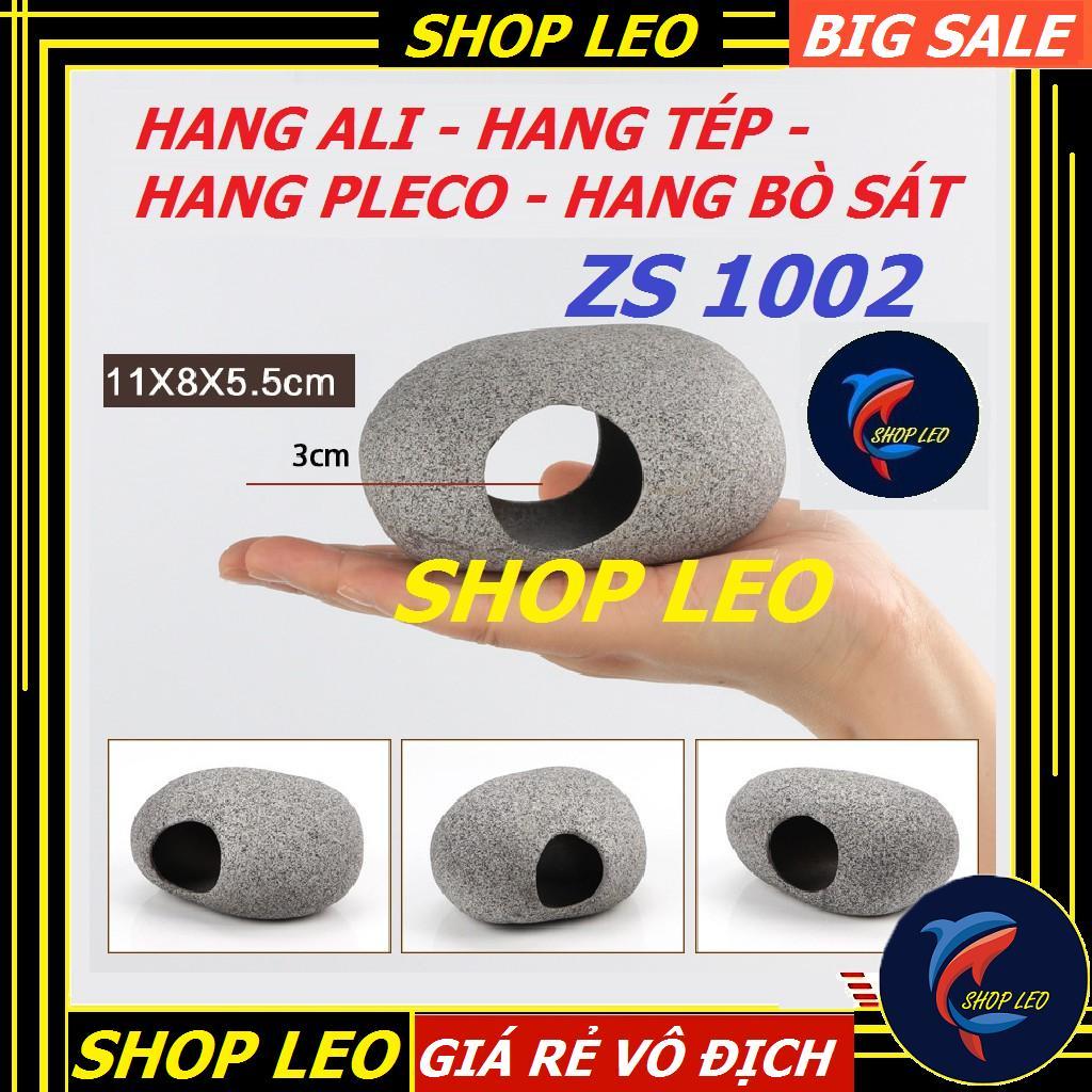 Hang cá ali ZS 1002 - hang pleco - trang trí bể tép - bể thủy sinh - hồ cá cảnh - biotop - bò sát