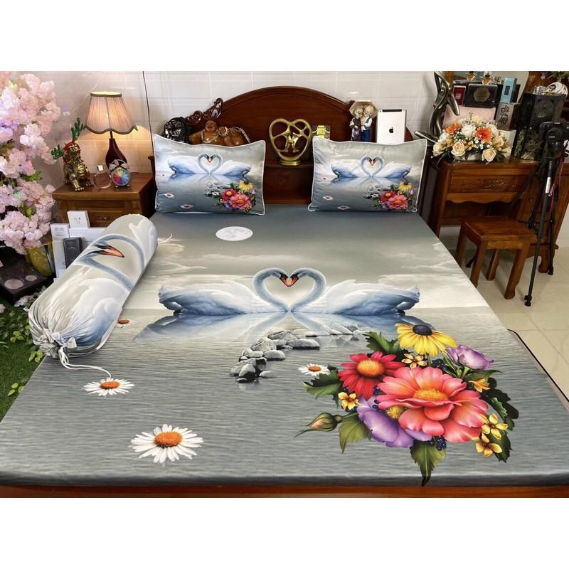Drap thun hàn quốc